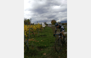 5820cf357420c_IMG20161105144715BURST014.jpg