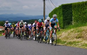 5b28b90a4446b_357011928392478262835824416348994544861184n.jpg