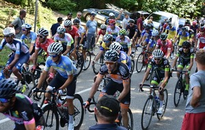 5b7a79bfba4fa_3920370214950110939327294170233555869237248n.jpg