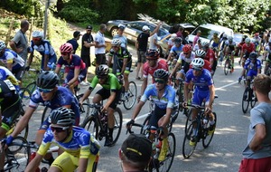5b7a79c37db24_3926151514950114539326938202241912963334144n.jpg