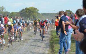 5ba6353ff1602_423902469219632446787064946679556116316160n.jpg