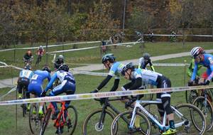 5bf17585f420a_464803519514661750617464388098035406602240n.jpg