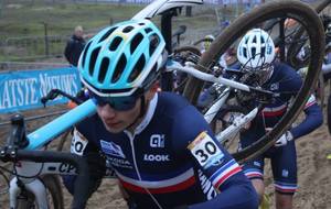 5bfc3f5fd547a_4696340020045403929676903105401014459564032n.jpg