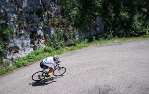 5cff5d22781cb_IMG8388.jpg